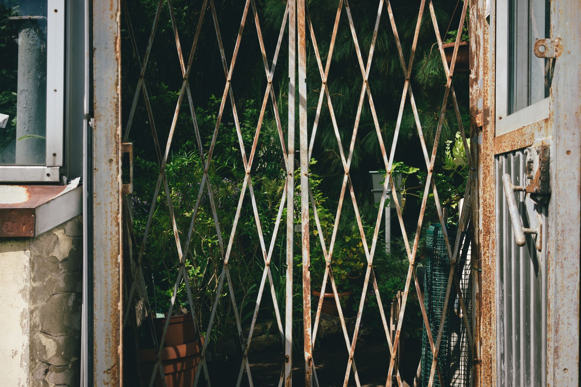 A vintage metal garden gate opening to a vibrant greenhouse filled with lush foliage in Mount Pleasant, SC